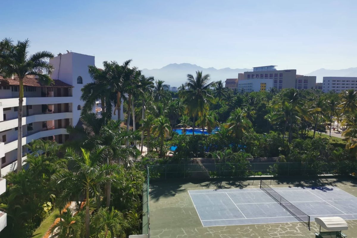 View over tennis courts and palm tress from our free accomodation with Workaway - one of the best ways how to find free accommodation