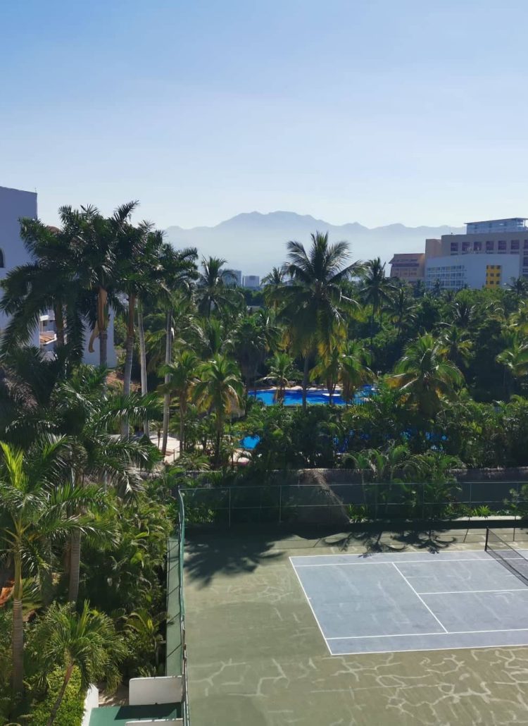 View over tennis courts and palm tress from our free accomodation with Workaway - one of the best ways how to find free accommodation