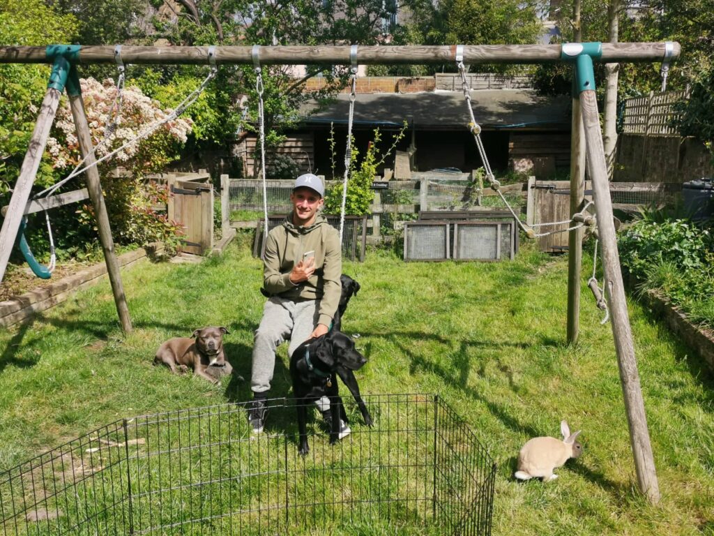A man in a blue hat with a green jacket and grey trackpants sitting on a swing with three dogs and a rabbit on the grass in front of him
