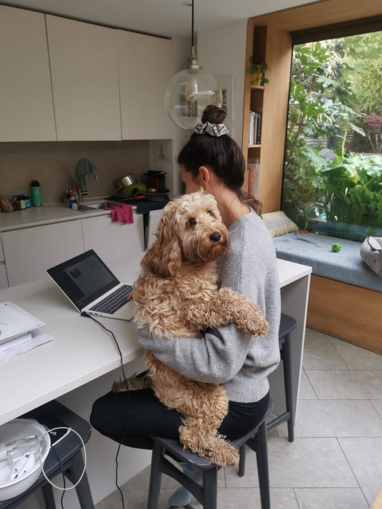 A woman working on the Trusted House Sitters Review on a laptop while holding a dog on her arm