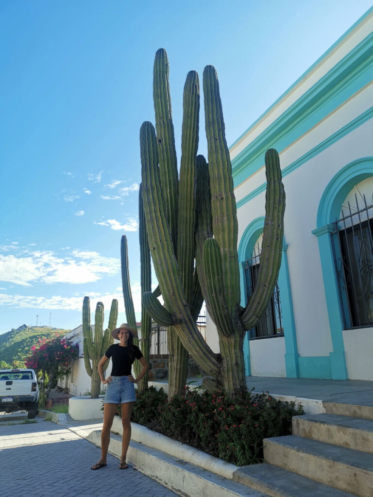 Staning next to a big cactus in Todos Santos Mexico