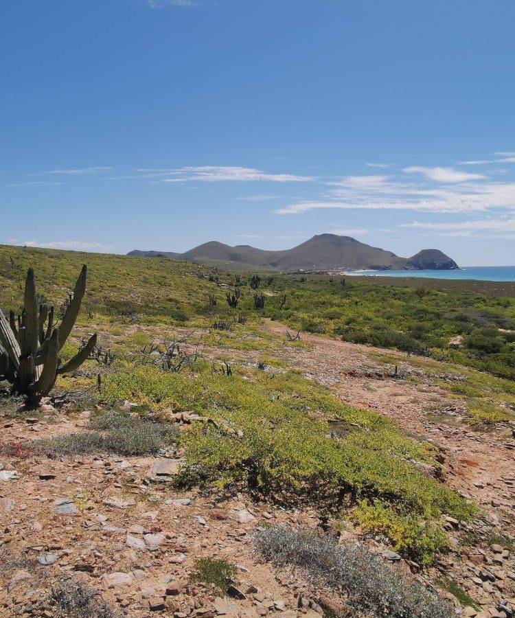 Todos Santos Mexico coastline