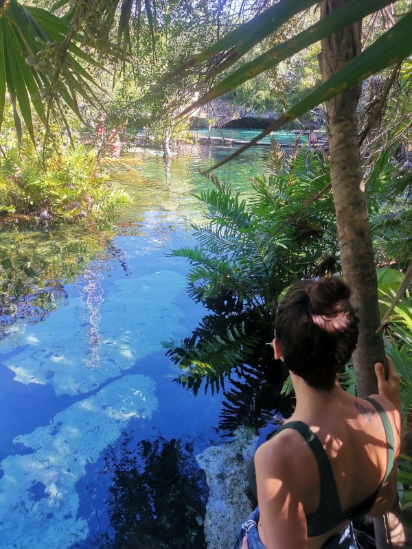 Looking out over water with a reflection at Cenote Azul - one of the best cenotes Playa del Carmen