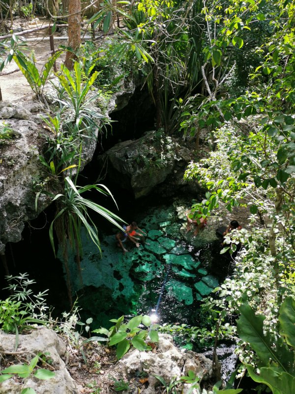 View into Cenote Minotauro from above  - one of the best cenotes Playa del Carmen