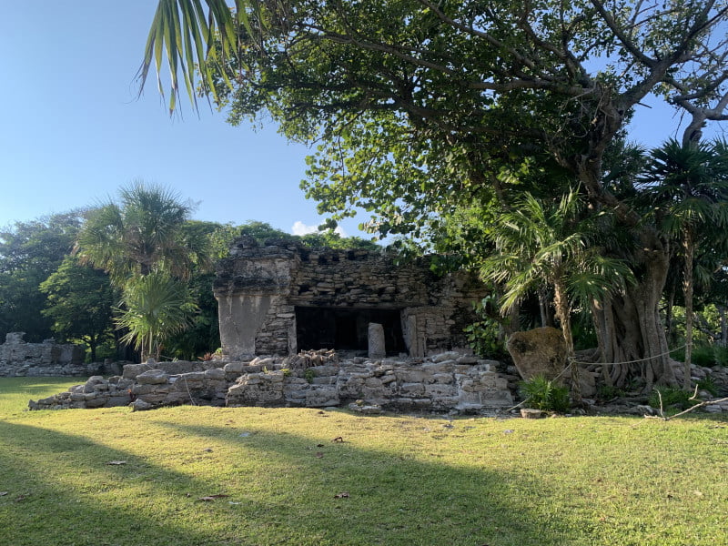 Mayan ruins in Playacar overgrown by plants