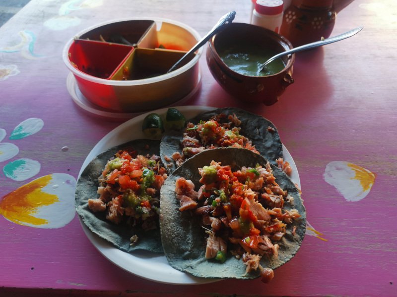 Three carnitas tacos on a pink table with salsa behind them