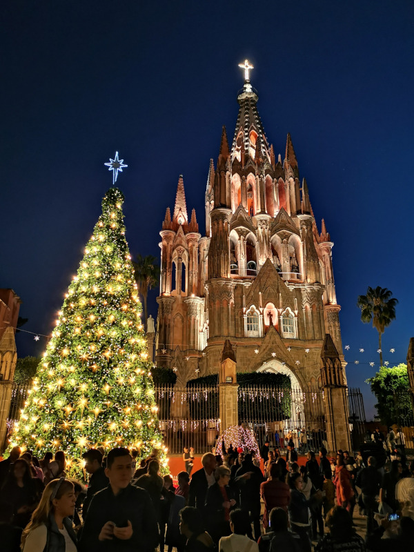 In the evening the tree and the cathedral are lit up with lots of people standing in front of them