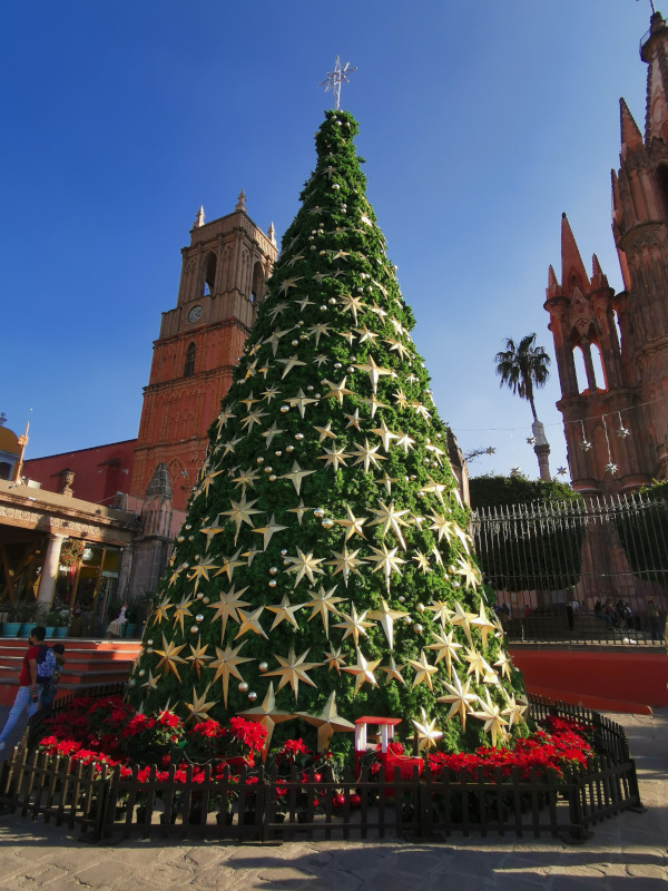Christmas tree with red flowers and golden stars during the day standing next to San Miguel's cathedral