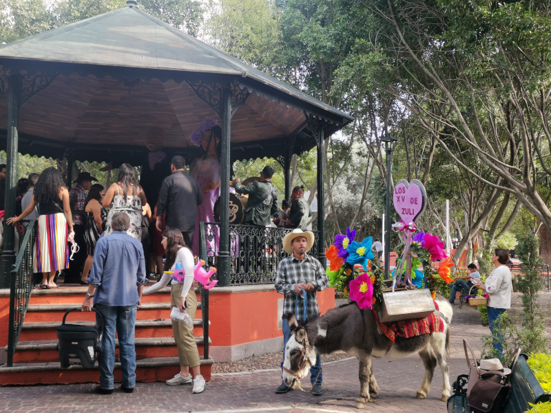 A Quinciera celebration in Benito Juarez Park with a donkey and flowers