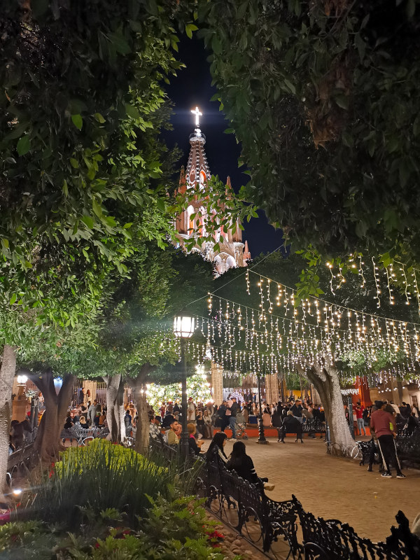 Jardin Allende full of trees with small Christmas lights hanging between them and the cathedral lit up in the back at night