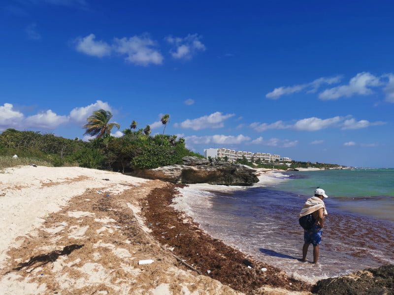 One of the beaches in Playa del Carmen covered in dead sea weed 