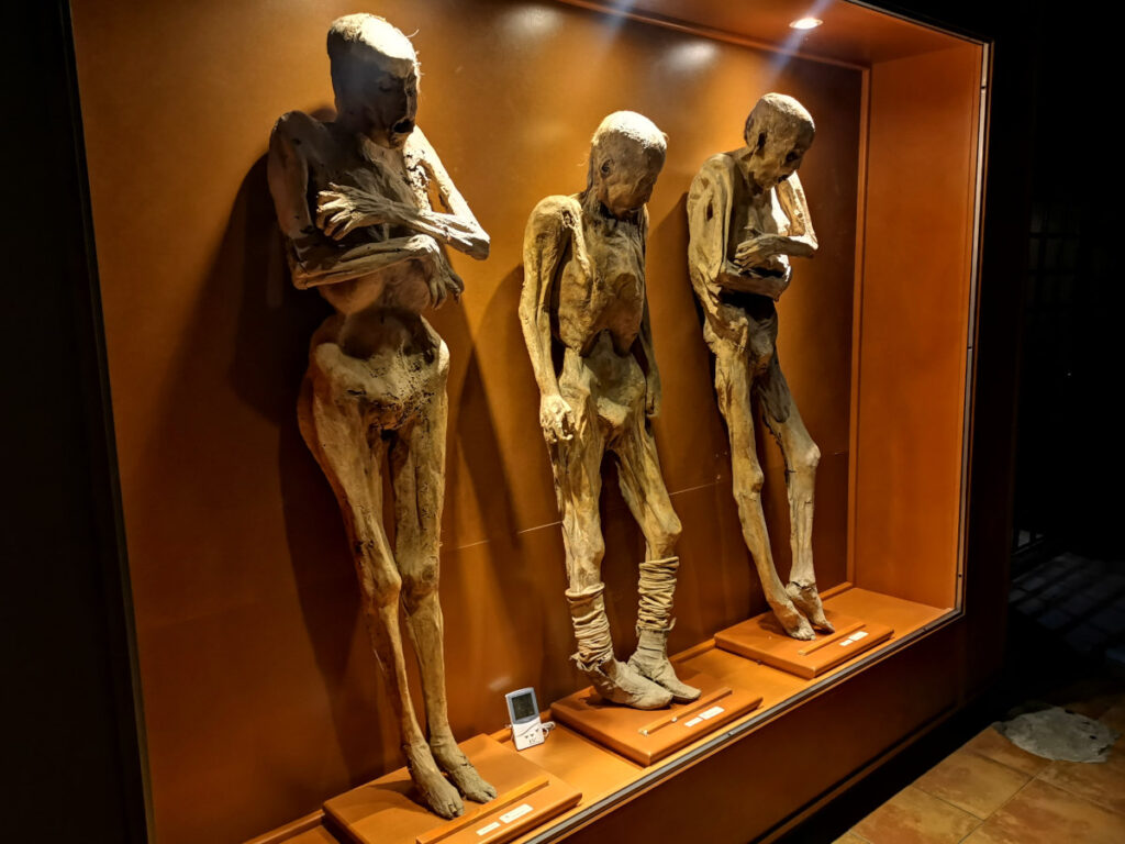 The guanajuato mummies in a glass case in a museum