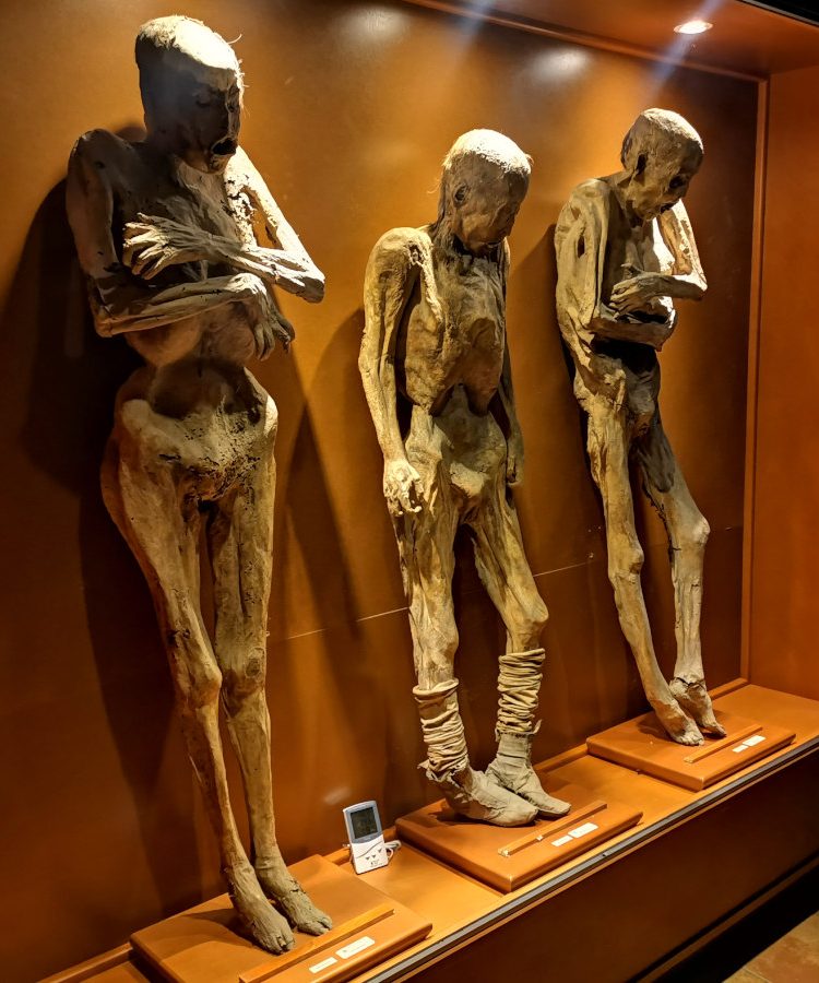 The guanajuato mummies in a glass case in a museum