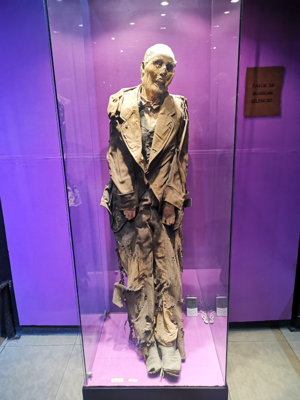 One of the Guanajuato Mummies inside a glass box wearing a suit