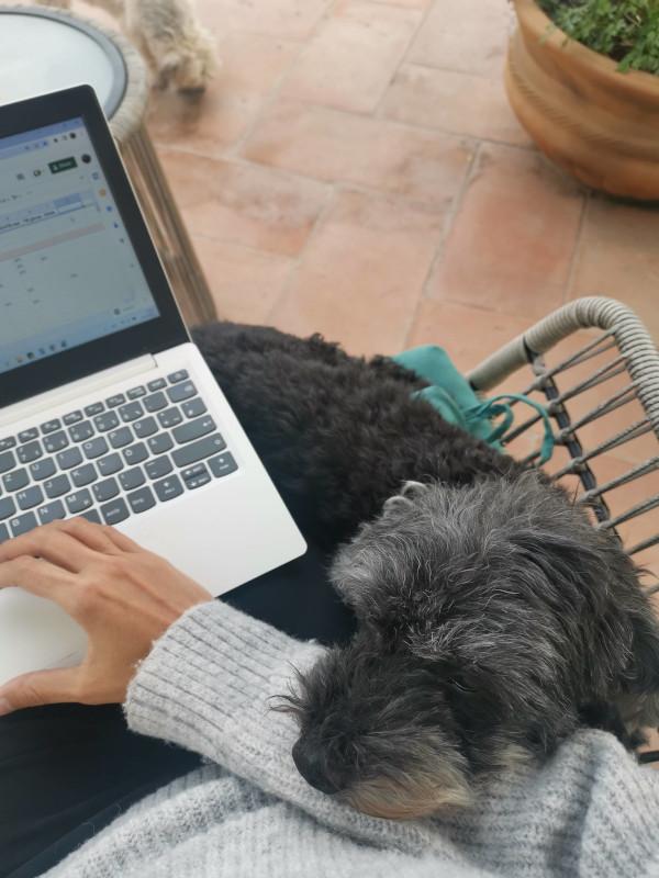Dog on Katharinas arm next to a laptop