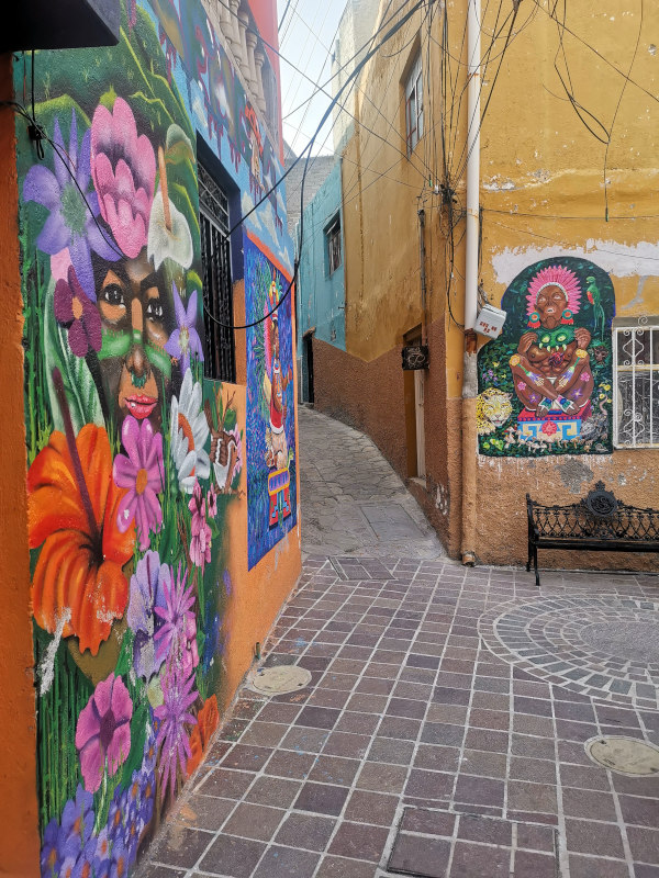 Coloful flower murals on a wall in a narrow street in Guanajuato