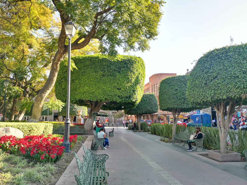 A park in Querétaro with carefully trimmed hedges