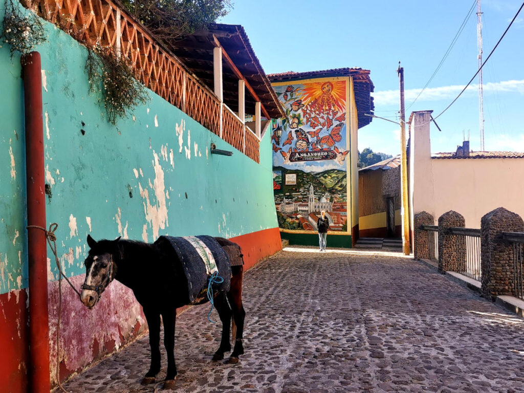 A colorful street in Angangueo with a donkey - the Home of the Monarch Butterfly
