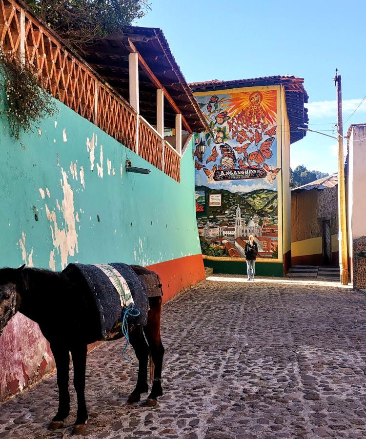 A colorful street in Angangueo with a donkey - the Home of the Monarch Butterfly