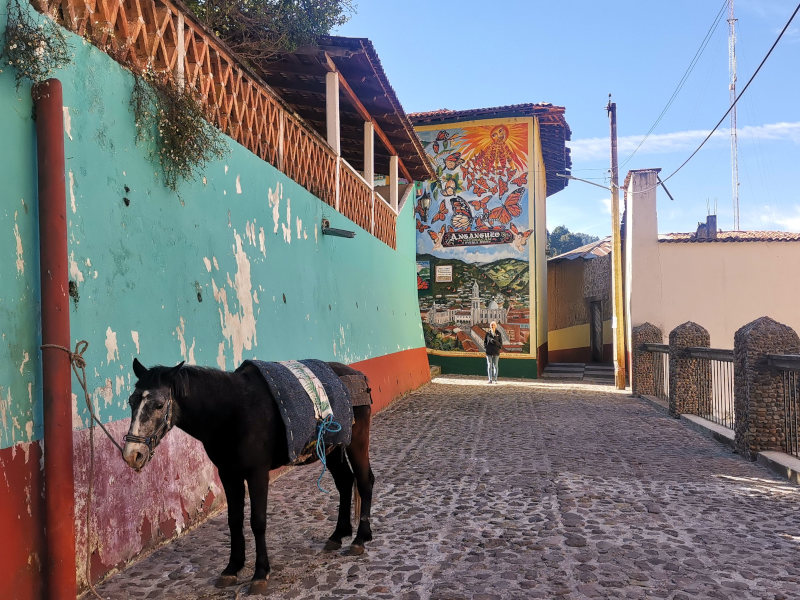 Donkey standing in the middle of a cobble stone street in Angangueo
