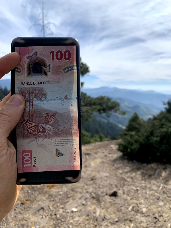 Allan holding up a 100 pesos note comparing it to the view