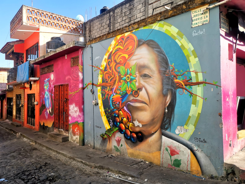 A colorful mural with an indiginious woman covered in flowers