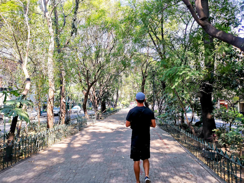 Allan walking down avenida Mazatlan in Mexico city