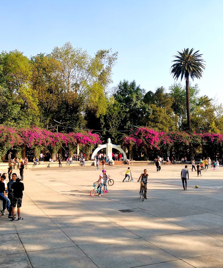 A square in Parque Mexico with people playing in Condesa Mexico City