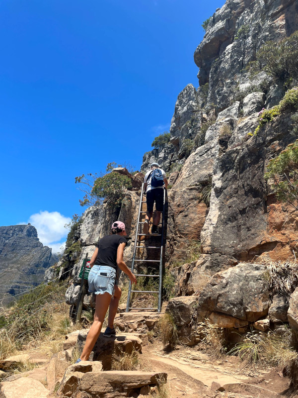 Two people climbing ladders on Lions Head