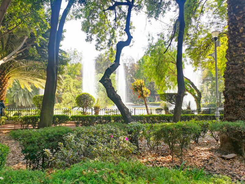 Fountains in a Parque Mexico with lots of green trees surrounding 