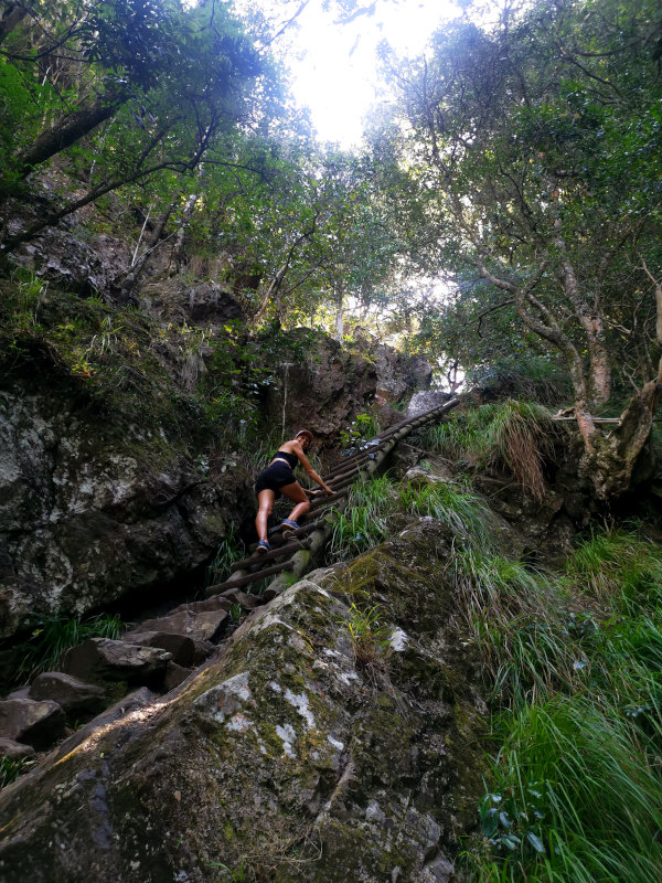 Katharina climbing a ladder on the Skeleton Gorge hike one of the best hikes around Cape Town