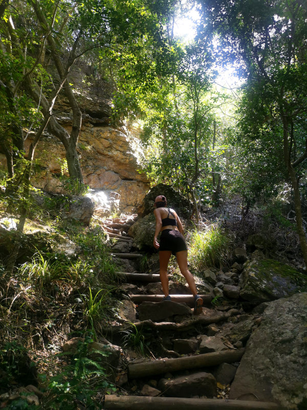 Katharina walking up wooden stairs on the Skeleton Gorge hike