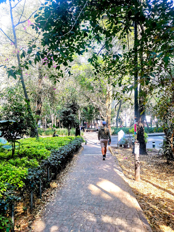 Allan walking along Avenida Amsterdam in Condesa Mexico City