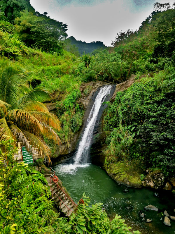 Concord Falls. -one of the best waterfalls in Grenada
