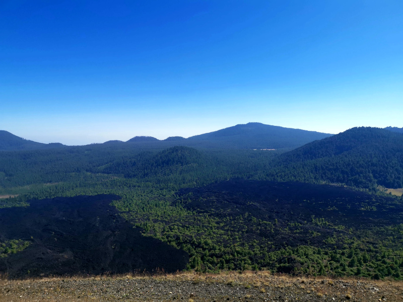 A view from the top of Paricutin Volcano showing black lava flows in between green trees