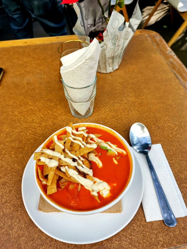 Sopa Azteca served in a bowl with tortilla chips on top - one of the bvest vegan food in Mexico City
