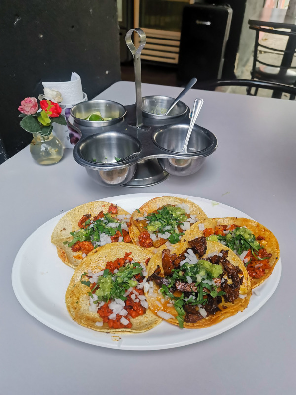 5 vegan tacos on a plate with salsas on top