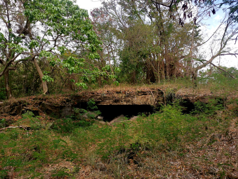 The entrance to a cave located in the bush in Grenada