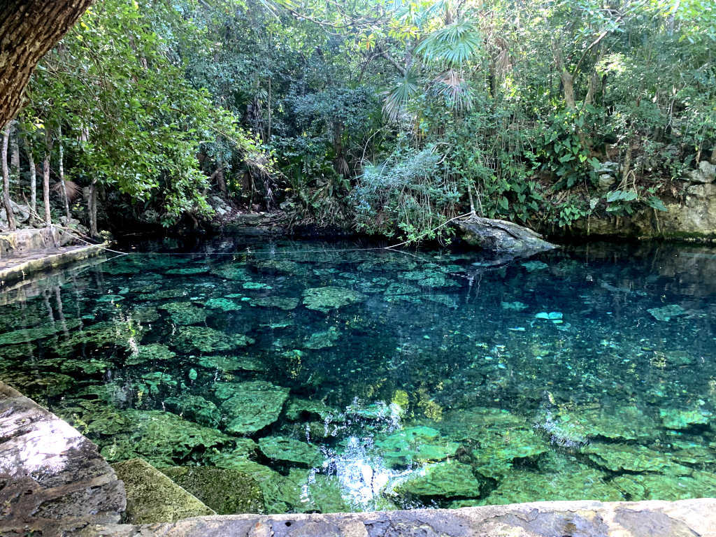 Beautiful pool at Cenote Cristalino  - one of the best cenotes Playa del Carmen