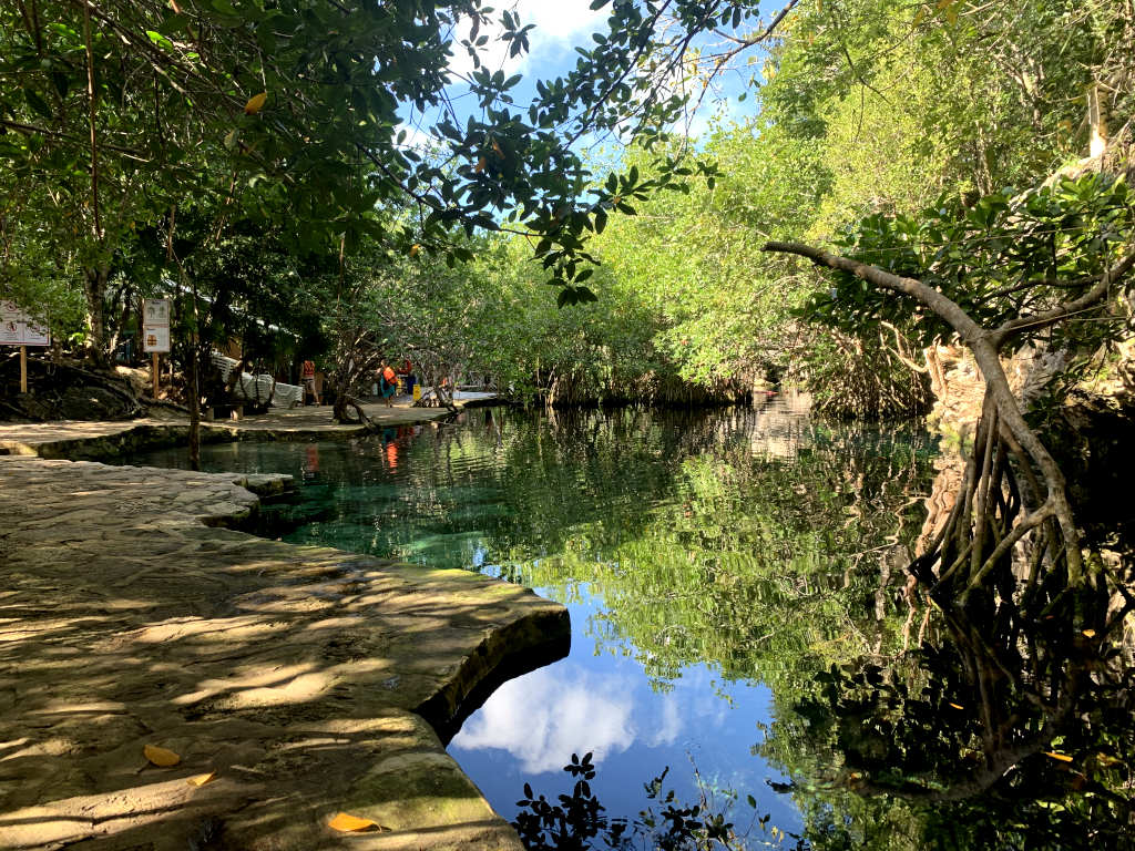 The main pool at Cenote Cristilano with a reflection of all the surrounding trees