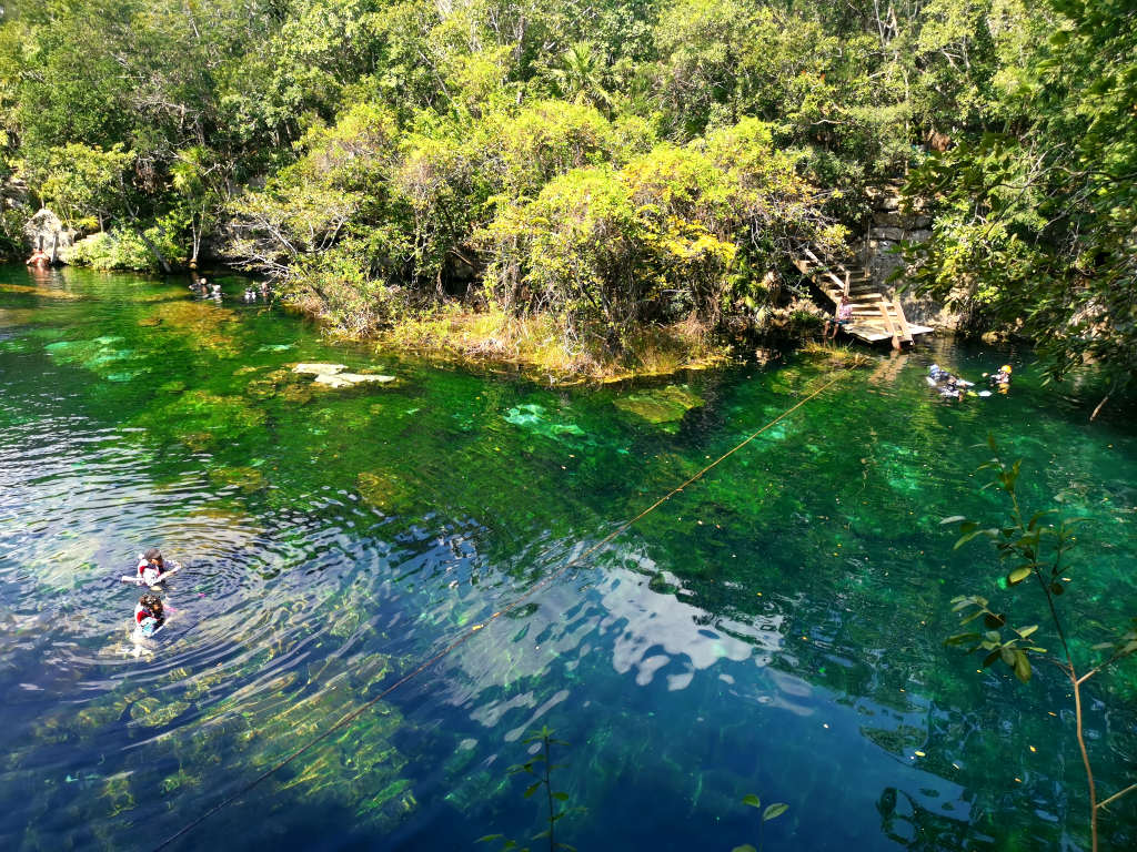 People swimming in cenote jardin del eden one of the best cenotes in playa del carmen