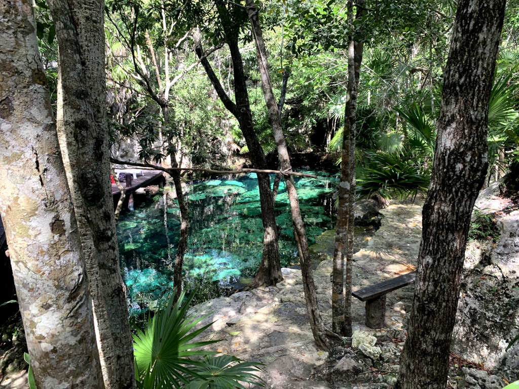 View of the main pool at Cenote Minatauro  - one of the best cenotes Playa del Carmen