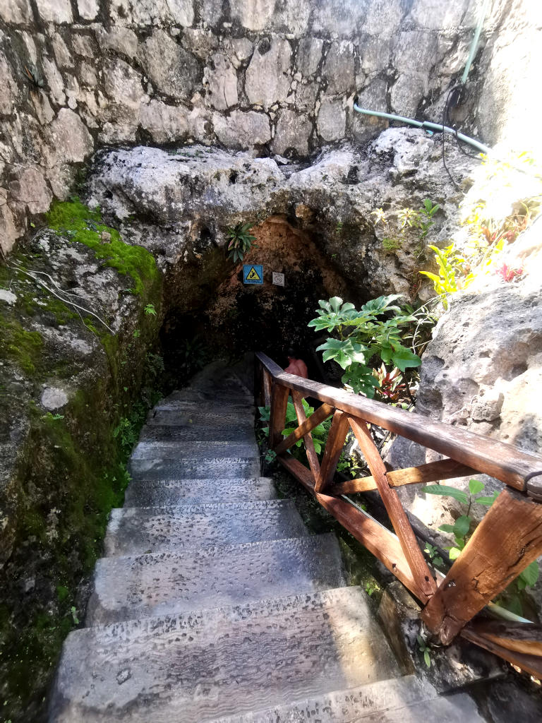 Wooden staircase leading into Cenote Tankach-Ha