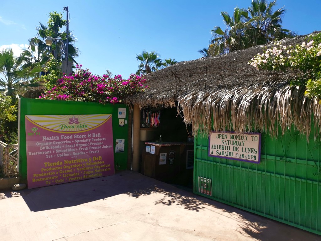 The entrance to a health store with a green door and a thatched roof