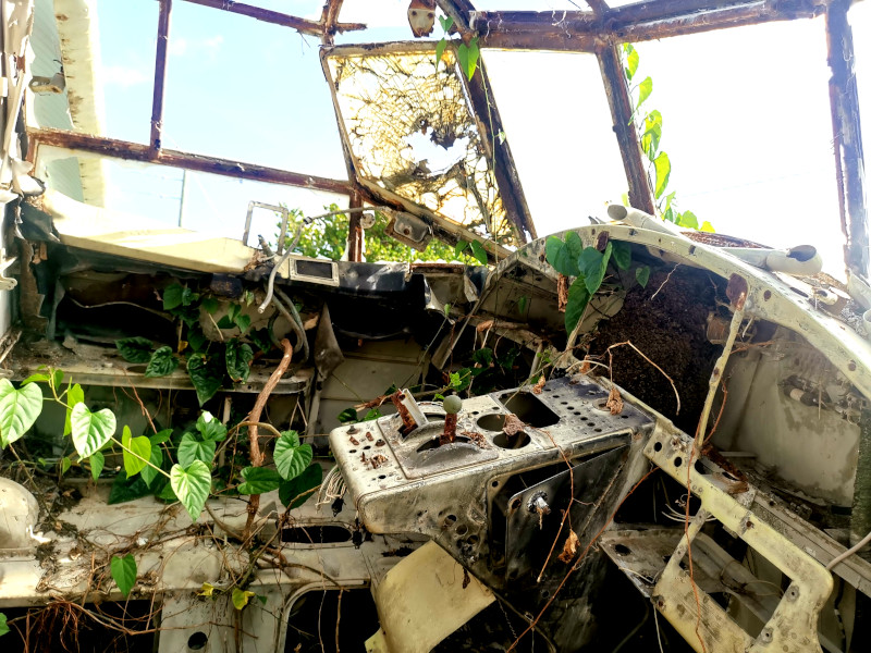 The cockpit of an abandoned plane with vines growing over parts of it