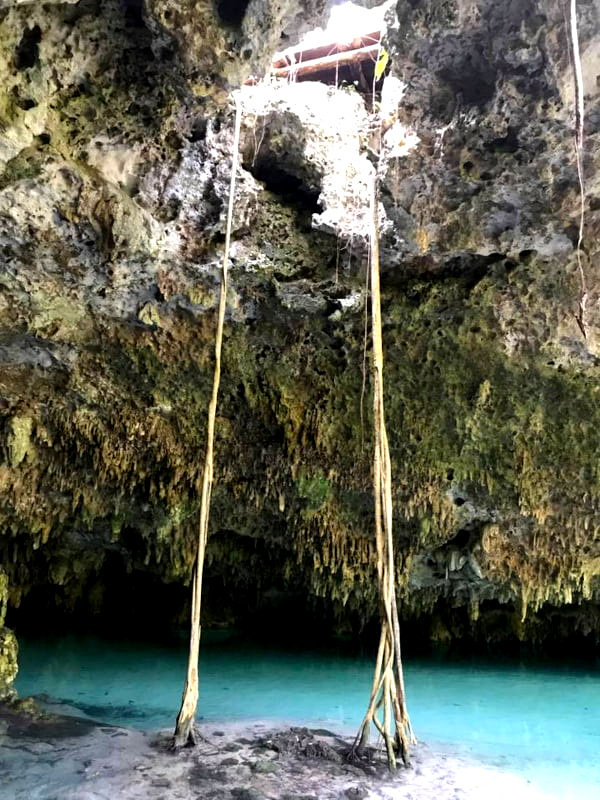 Roots coming through the roof at Cenote Sac Actun