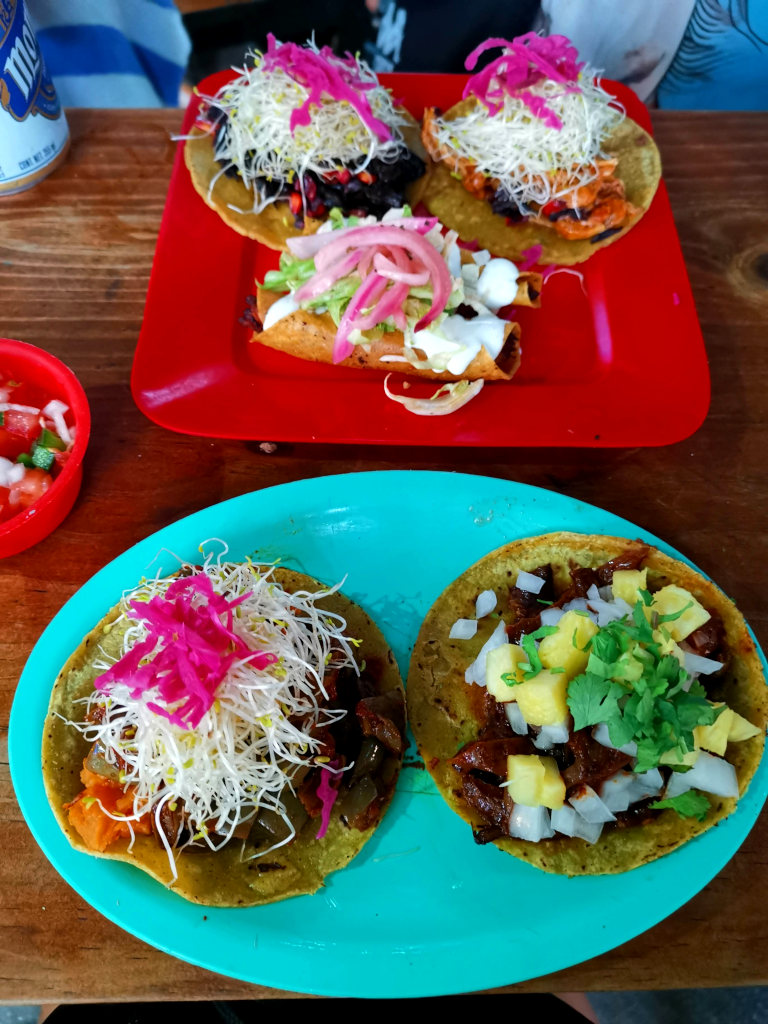 Two tacos sitting on a bright blue plate at Tropical Tacos 
