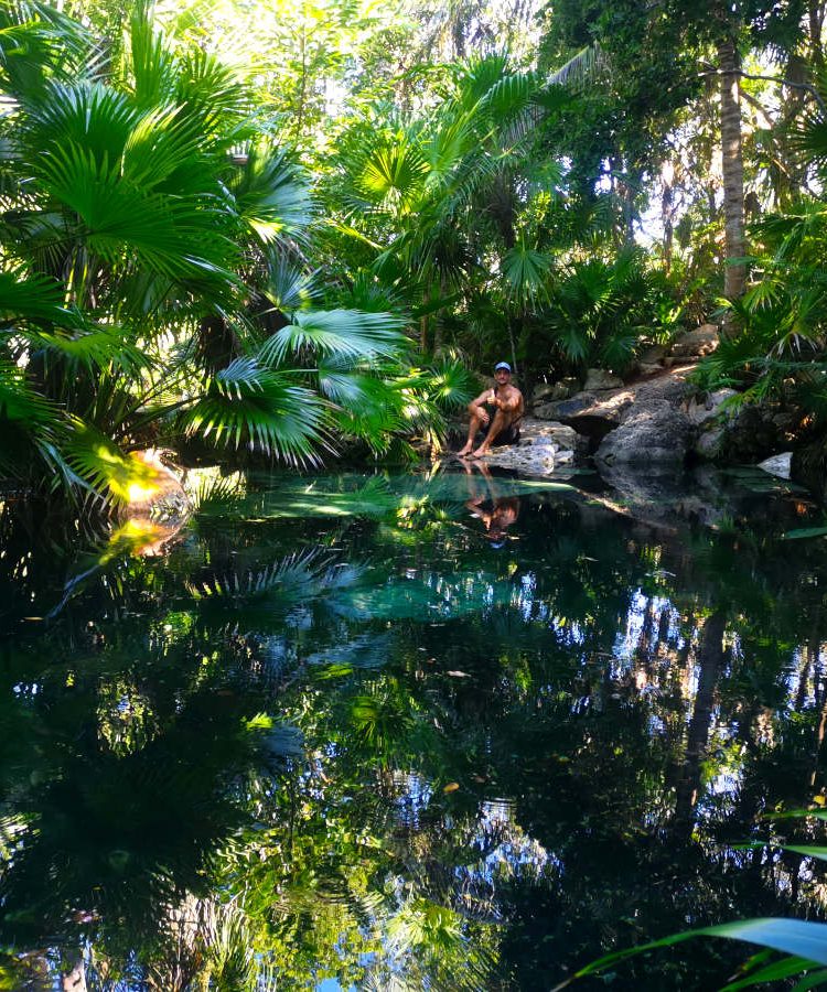 Allan sitting next to a cenote in the jungle showing what a cenote is