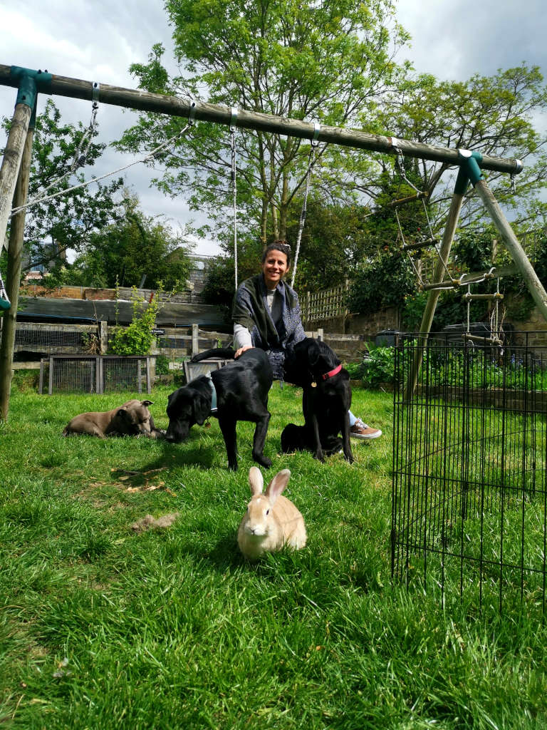 A woman sitting on a swing in London while petsitting three dogs and a rabbit which are sitting around her