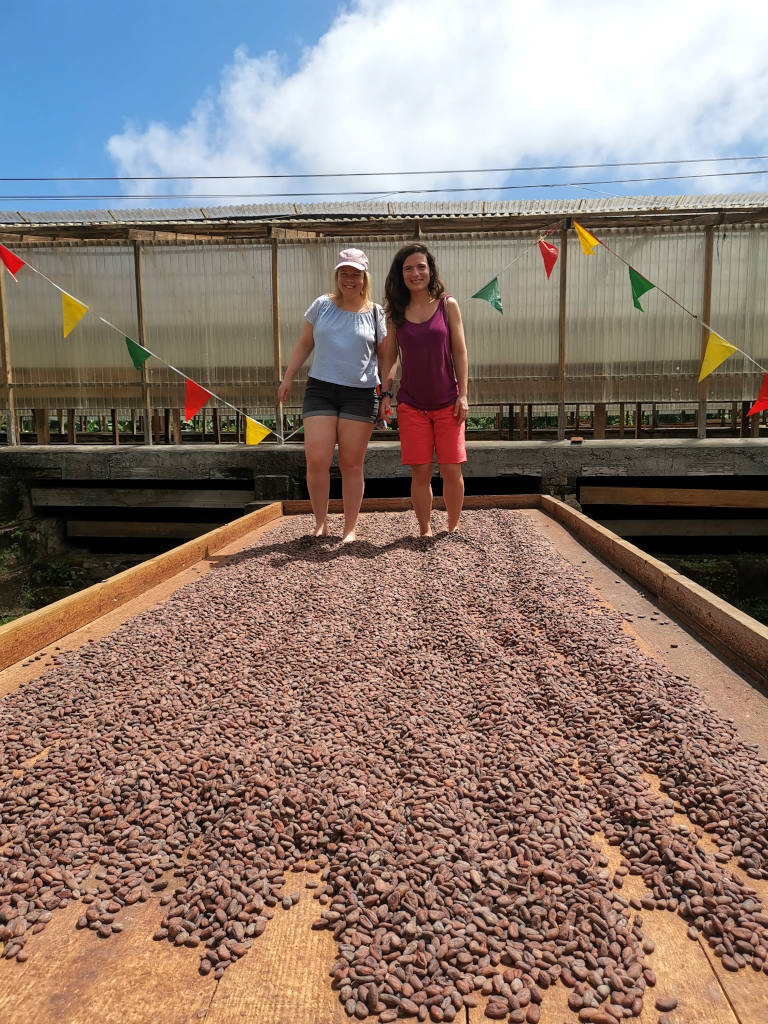 Two woman walking on top of a tray covered in cocoa beans that are drying in the sun